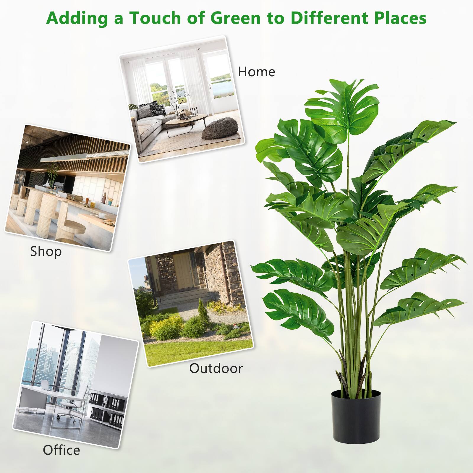 Adding a Touch of Green to Different Places

Home  
Shop  
Outdoor  
Office