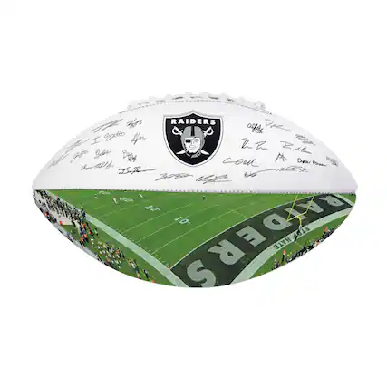 Sure, here is the corrected and grouped text from the image:
**Top Section:**
- Raiders
- I. Spoto
- A. G.
- W. G.
- P. H.
- 2007
- 55
**Middle Section:**
- D. R.
- A. R.
- C. O.
- A. P.
- 2008
**Bottom Section:**
- Raiders
- 10
- 20
- 30
- 40
- 50
- 60
- 70
- 80
- 90
- 100
- STADIUM
- HANSEN
- R. A.