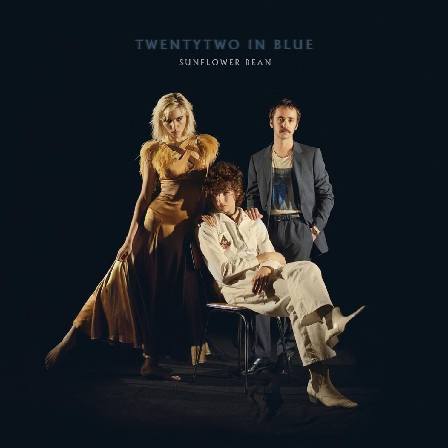Sunflower Bean - Twentytwo In Blue   - VINYL LP price history on PriceWatchPro