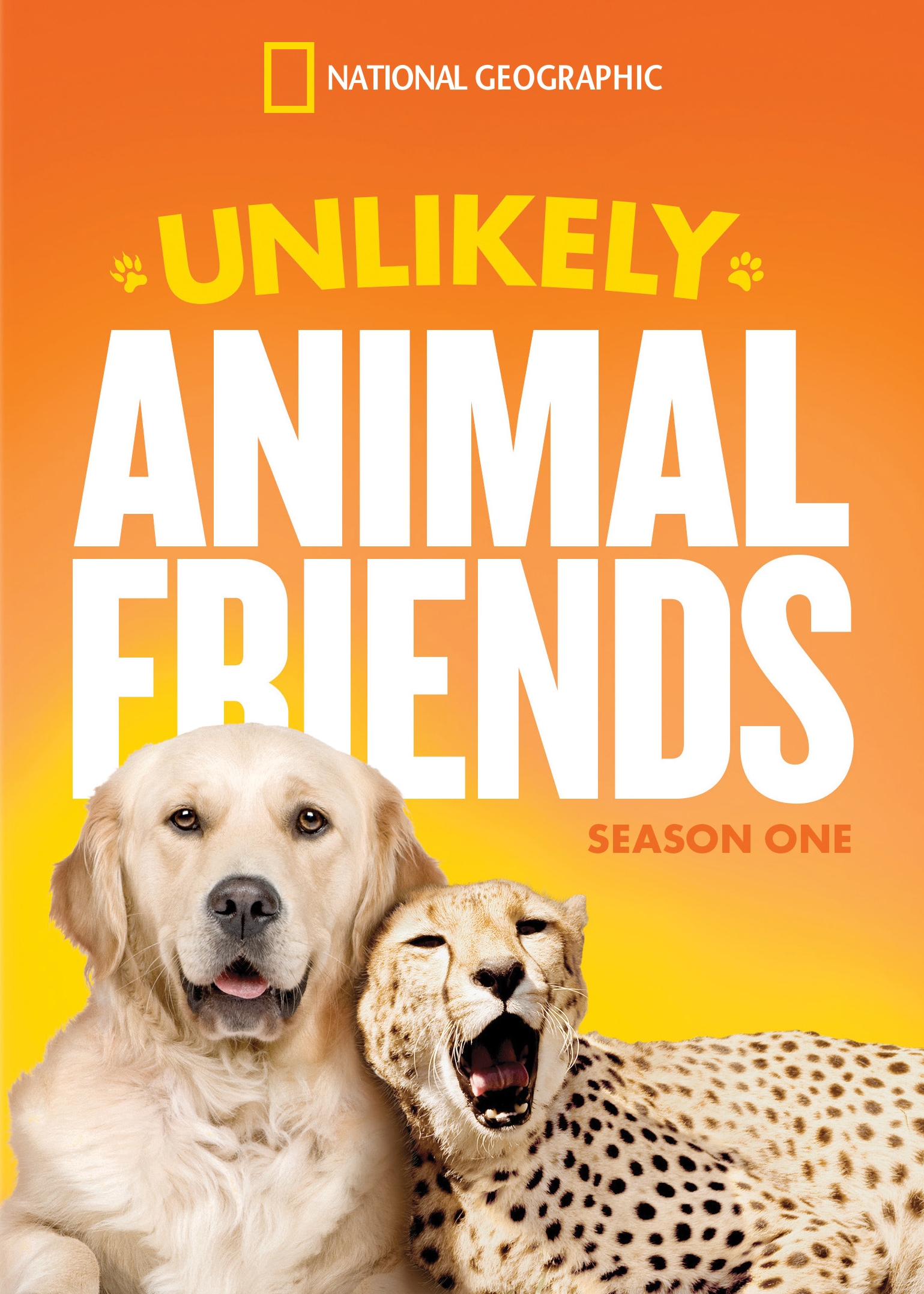uncommon animal friends