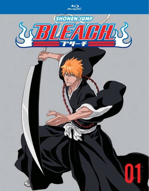 Bleach season discount 1 online