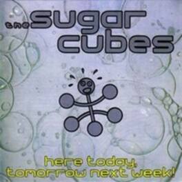 The Sugarcubes - Here Today,Tomorrow, Next Week! - Black Vinyl - VINYL LP
