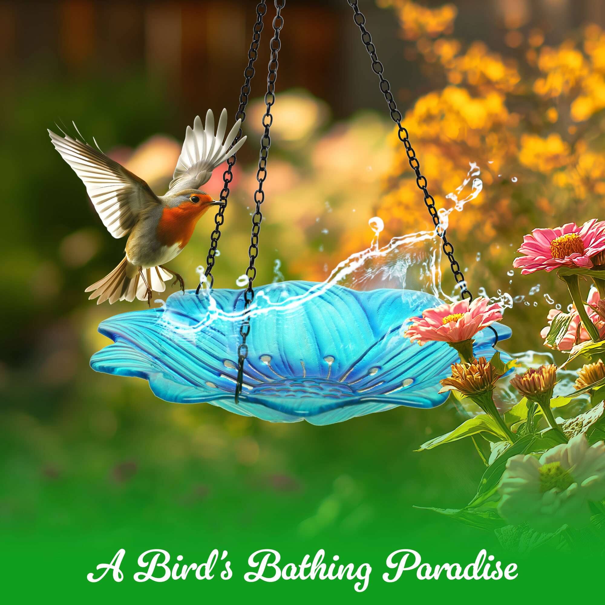 A Bird's Bathing Paradise