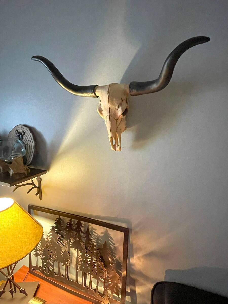 Zeckos Huge Wall Hanging Longhorn Cow Skull 27in Wide Resin Long Horn ...