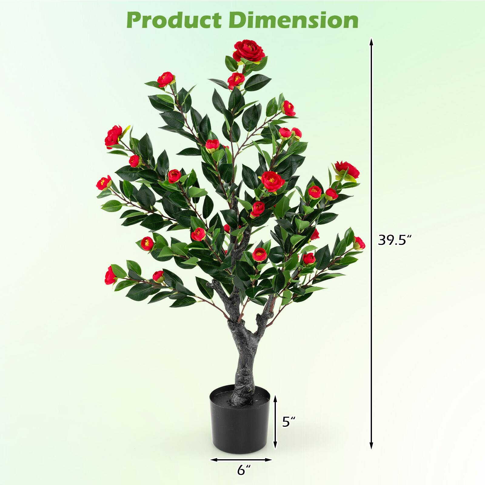 Product Dimension  
39.5"  
5"  
6"