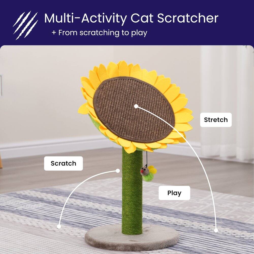 Multi-Activity Cat Scratcher  
+ From scratching to play  

Scratch  
Play  
Stretch