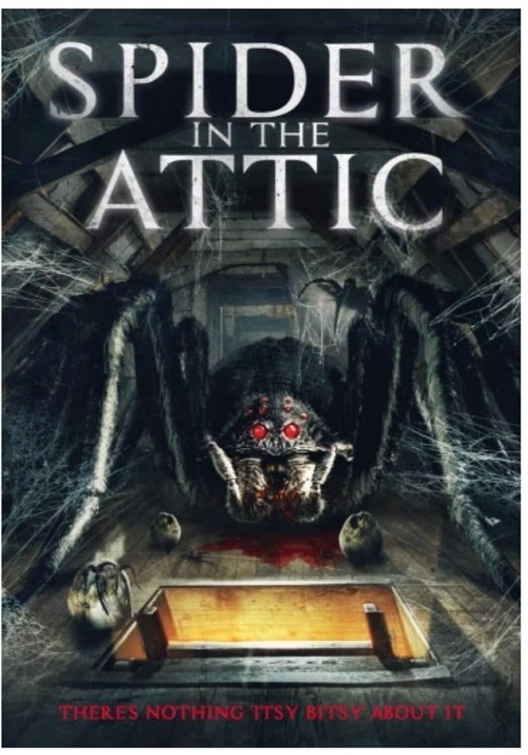 Spider in the Attic  - DVD