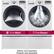 Alt View 13. LG - SteamDryer 7.4 Cu. Ft. 12-Cycle Steam Gas Dryer.