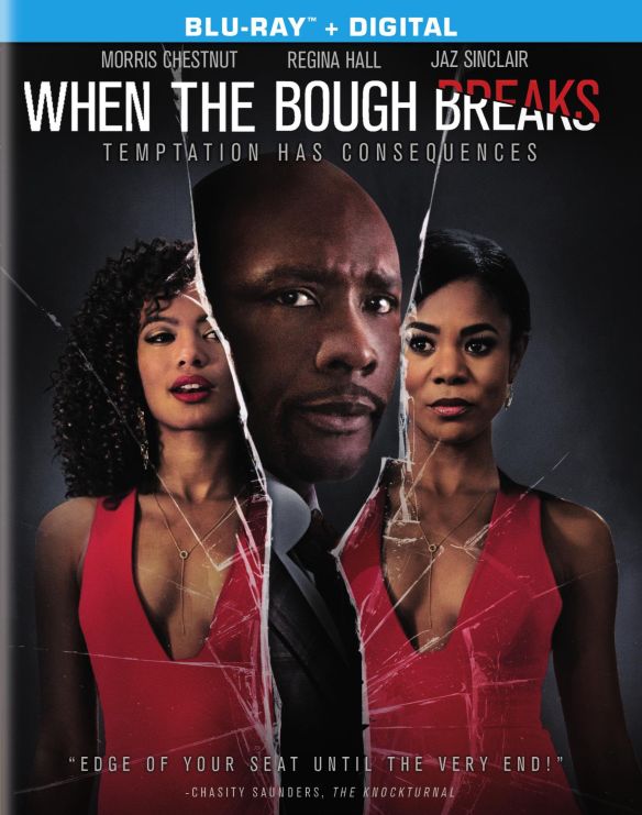  When the Bough Breaks [Blu-ray] [2016]