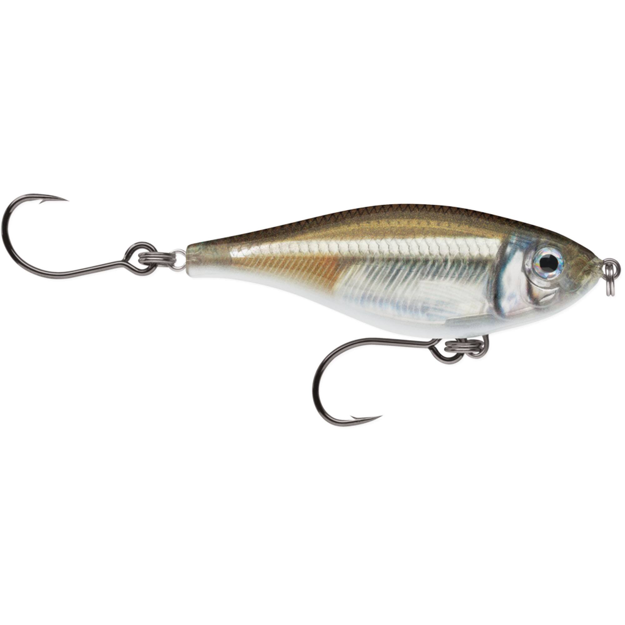Mangrove Minnow