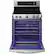 Alt View 11. LG - 6.3 Cu. Ft. Freestanding Electric Range with ProBake Convection - Stainless Steel.