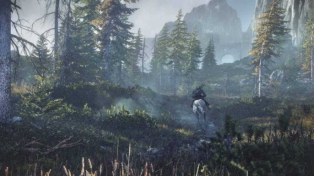 Alt View 1. BANDAI NAMCO Entertainment - Witcher 3: Wild Hunt [PlayStation 4].
