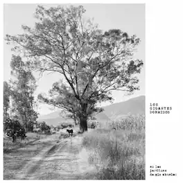 Gigantes Dormidos - Los Jardines De Mis Abuelos - VINYL LP