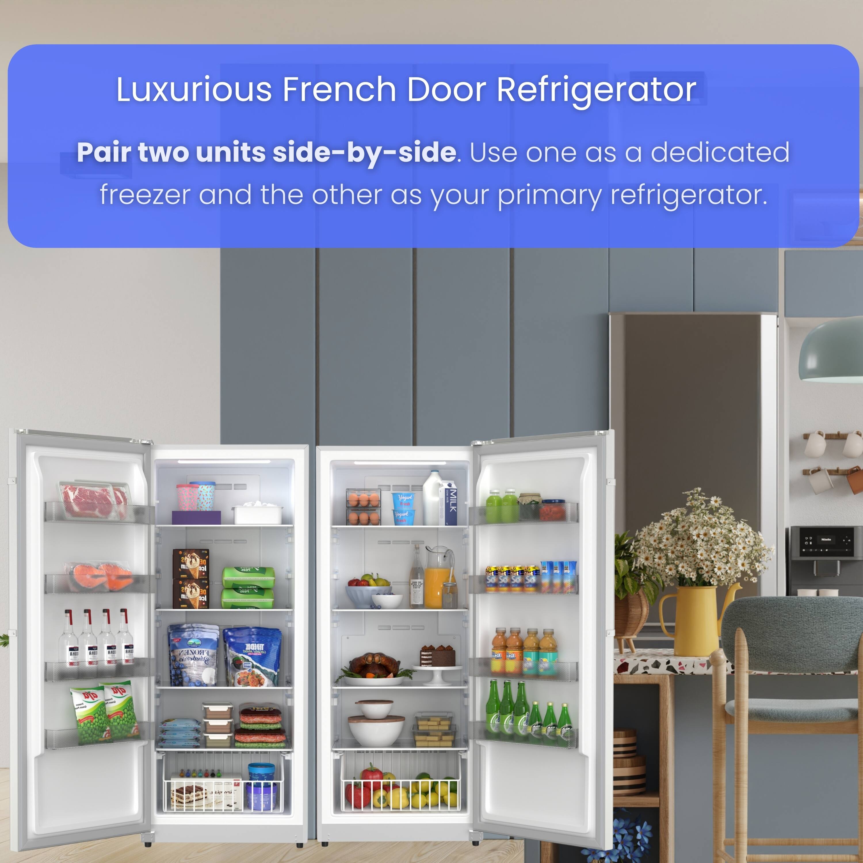 Luxurious French Door Refrigerator

Pair two units side-by-side. Use one as a dedicated freezer and the other as your primary refrigerator.