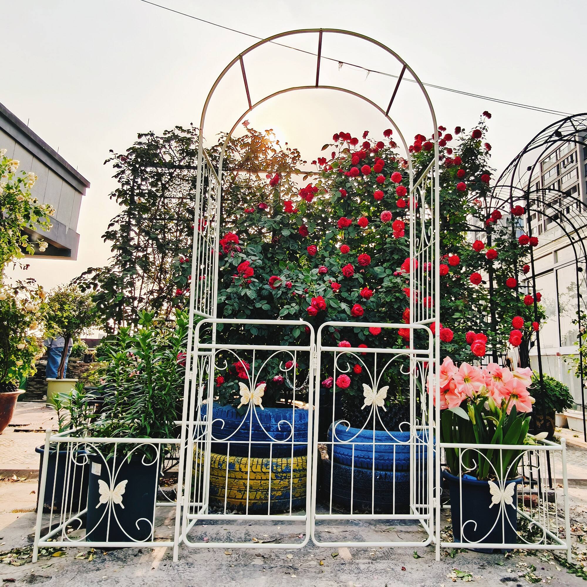 media item thumbnail