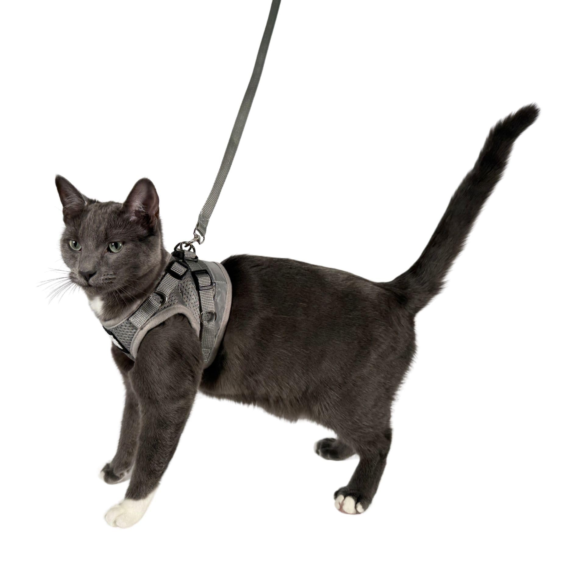 Alt View 8. Paradigms Interiors - Travel Cat Harness And Leash Set - Fit Mesh Reflective Strap Comfort Walking Vest For Kitten Outdoor Hiking - 90s Cat-Large.
