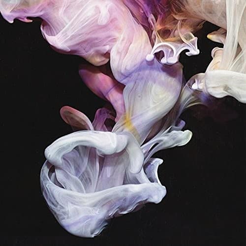 Simian Mobile Disco - Murmurations   - VINYL LP price history on PriceWatchPro