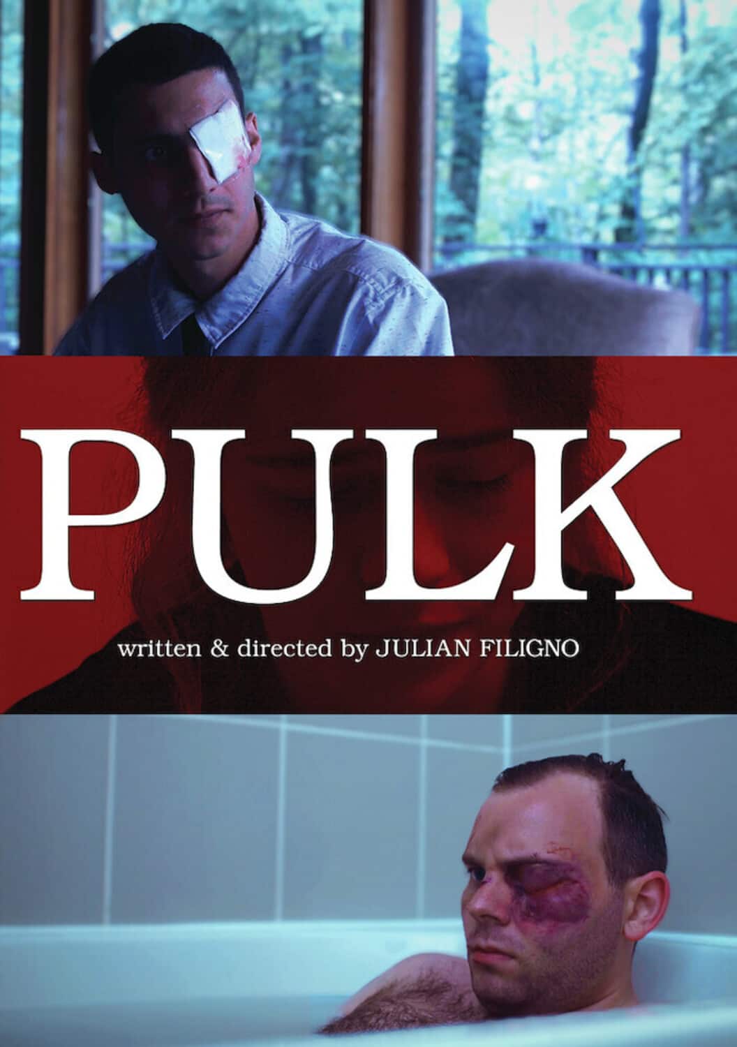 Pulk  - DVD