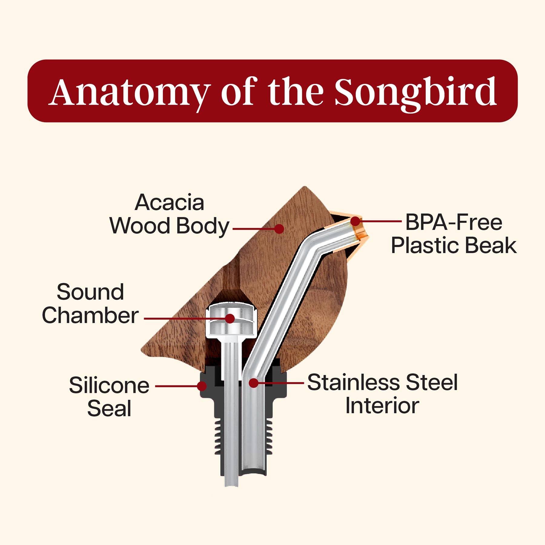Anatomy of the Songbird  
Acacia Wood Body  
BPA-Free Plastic Beak  
Sound Chamber  
Silicone Seal  
Stainless Steel Interior