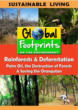 Rainforests & Deforestation, Palm Oil & Saving The Orangutan - DVD