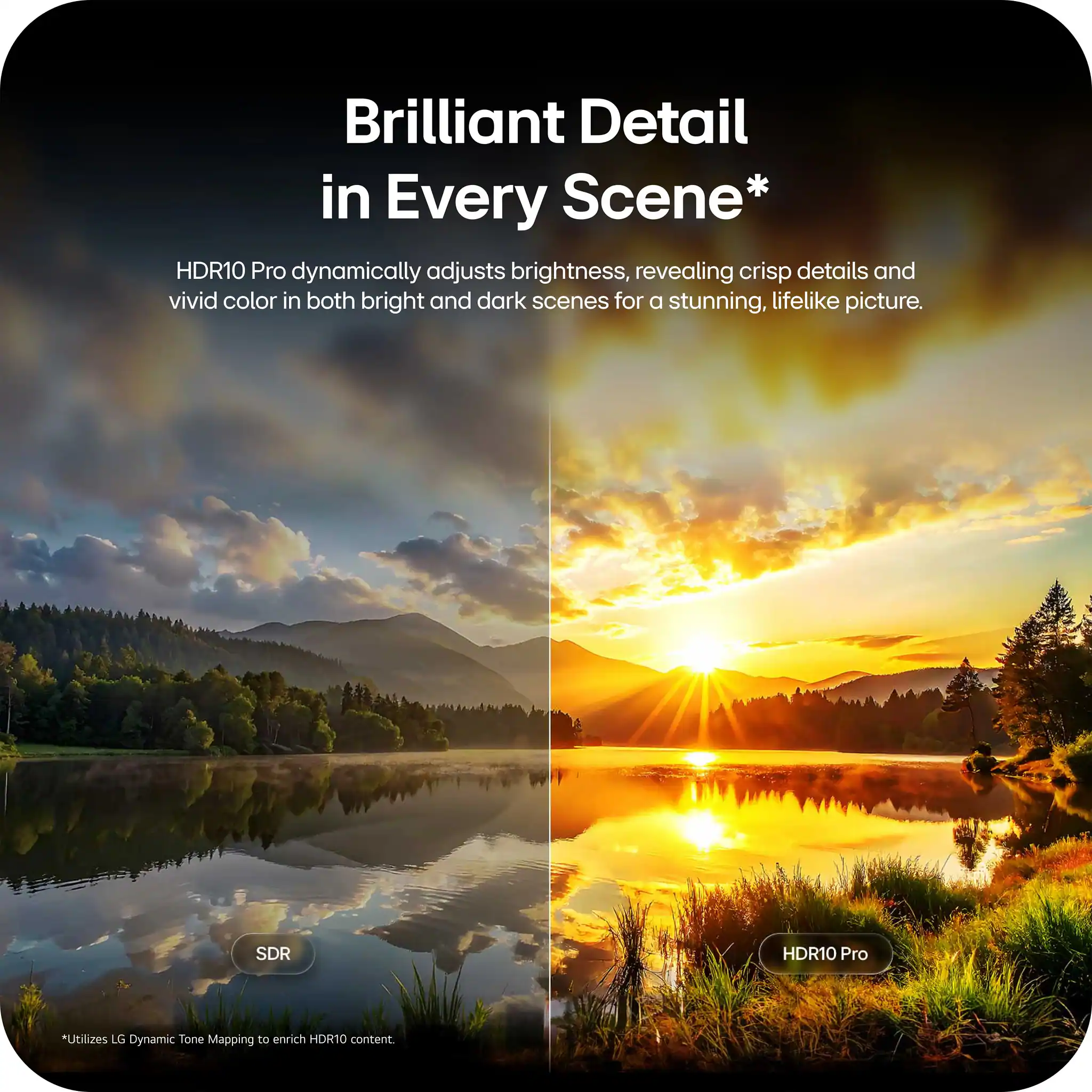 Brilliant Detail in Every Scene*

HDR10 Pro dynamically adjusts brightness, revealing crisp details and vivid color in both bright and dark scenes for a stunning, lifelike picture.

SDR HDR10 Pro

*Utilizes LG Dynamic Tone Mapping to enrich HDR10 content
