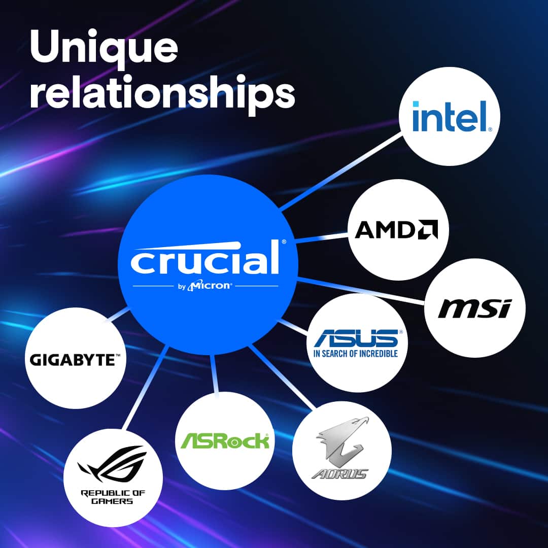 Unique relationships: intel, AMD, crucial by Micron, msi, ASUS, in search of incredible, gigabyte, ASRock, Republic of Gamers.