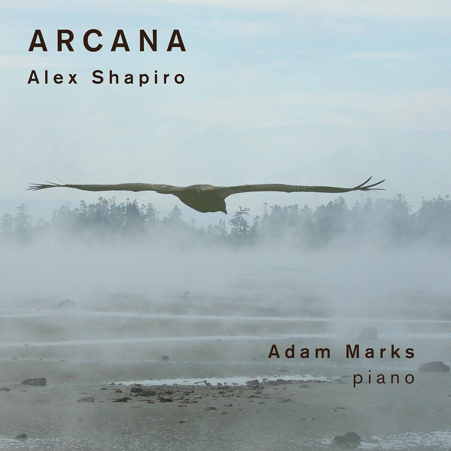 ARCANA  
Alex Shapiro  

Adam Marks  
piano