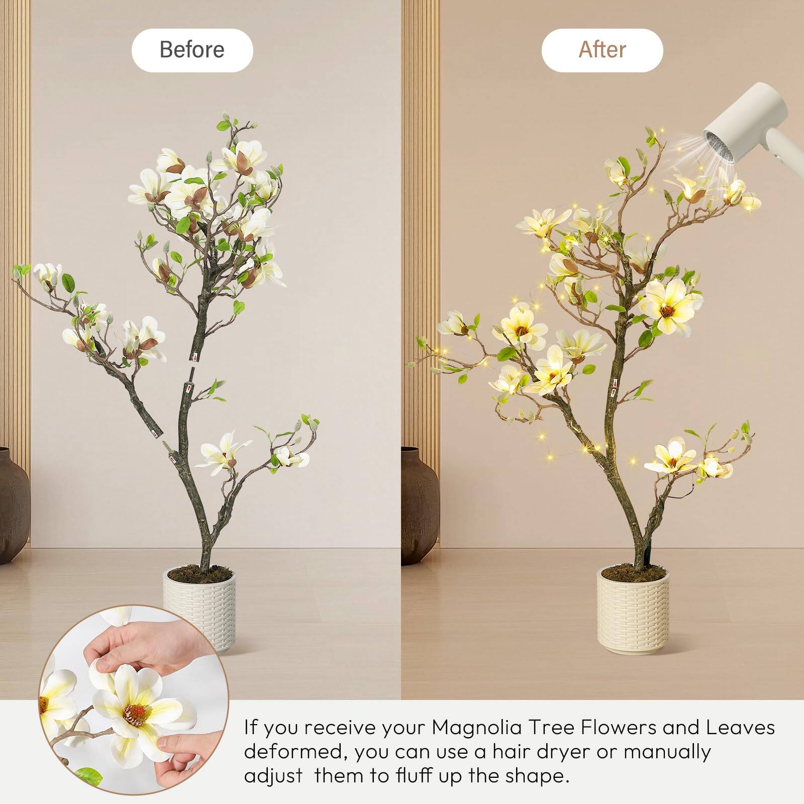 Before After

If you receive your Magnolia Tree Flowers and Leaves deformed, you can use a hair dryer or manually adjust them to fluff up the shape.