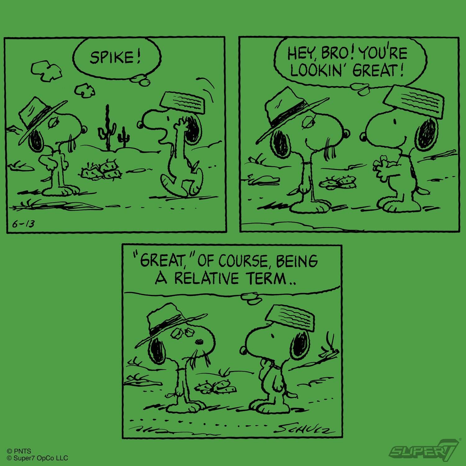 SPIKE!  
HEY, BRO! YOU'RE LOOKIN' GREAT!  
"GREAT," OF COURSE, BEING A RELATIVE TERM...  

PNTS  
© Super7 OpCo LLC