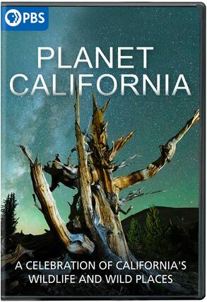 Front. Planet California - DVD.