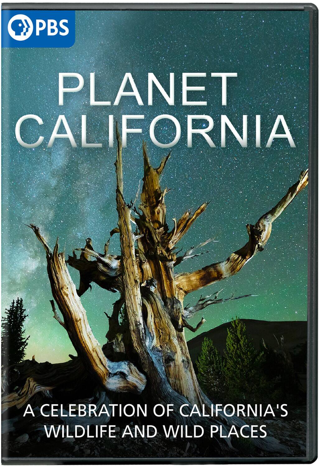 Front. Planet California   - DVD.