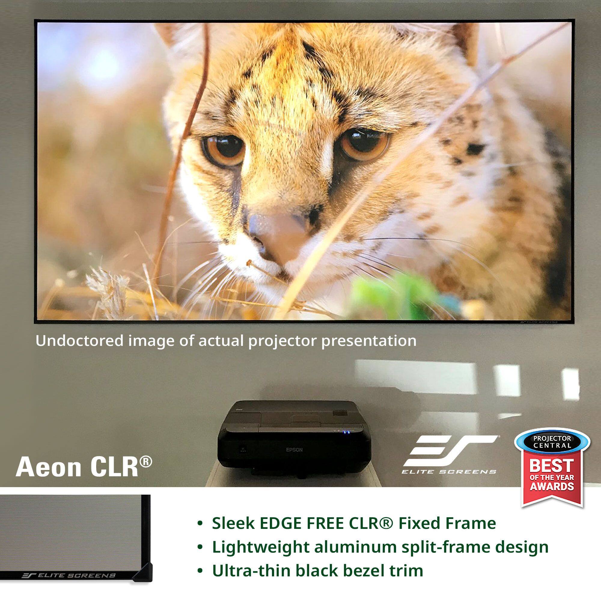 Undoctored image of actual projector presentation

Aeon CLR®

- Sleek EDGE FREE CLR® Fixed Frame
- Lightweight aluminum split-frame design
- Ultra-thin black bezel trim

EPSON PROJECTOR CENTRAL
ELITE SCREENS OF THE YEAR AWARDS
BEST OF THE YEAR AWARDS