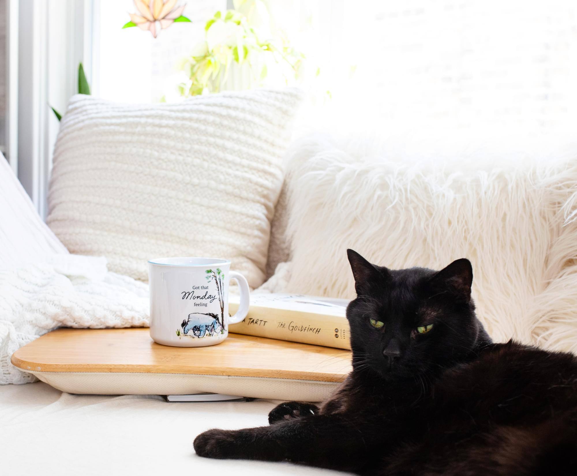 Got that Monday feeling

TARTT 76

GOLDFINCH 00