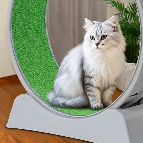 Alt View 5. Winado - 35in Large Cat Exercise Wheel with Safe Lock Treadmill Wheel for Indoor - Grey.