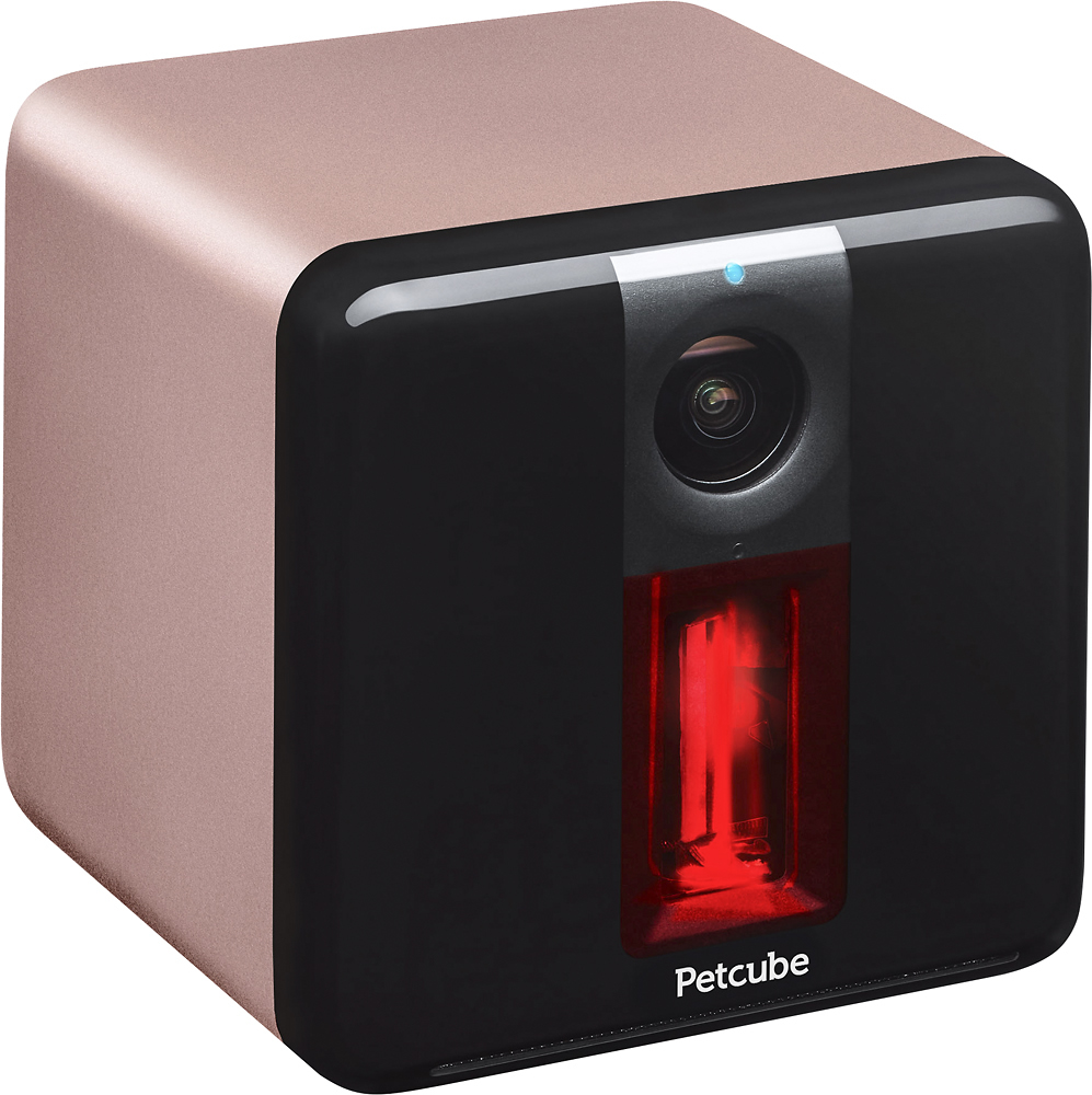 Best Buy: Petcube Play Indoor 1080p Wi-Fi Camera Rose Gold