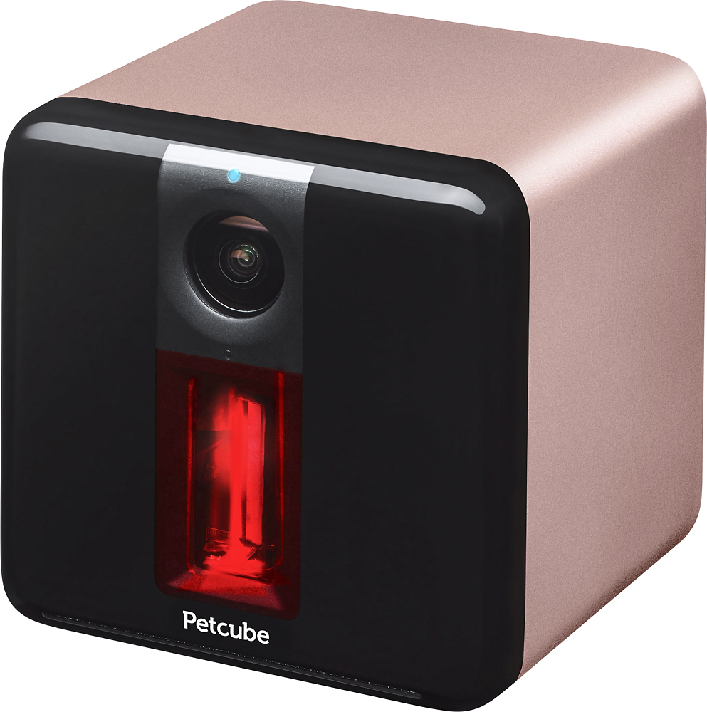 petcube rose gold