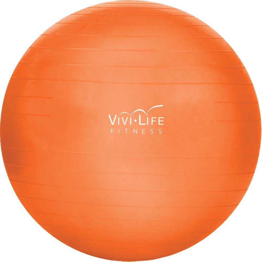 Best Buy Vivi Life 21.6" Balance Ball Orange