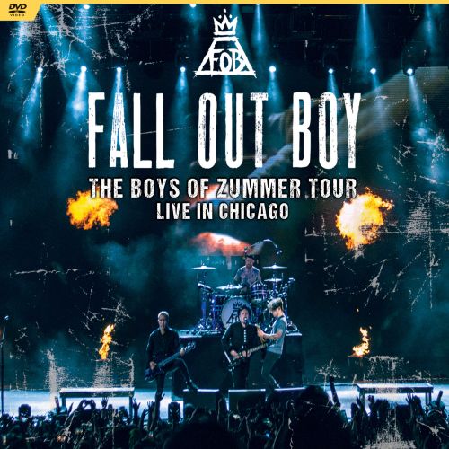  The Boys of Zummer Tour: Live in Chicago [DVD]