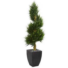 BreeBe - Cypress Spiral Tree in Planter UV Resistant (Indoor/Outdoor) - Multicolor