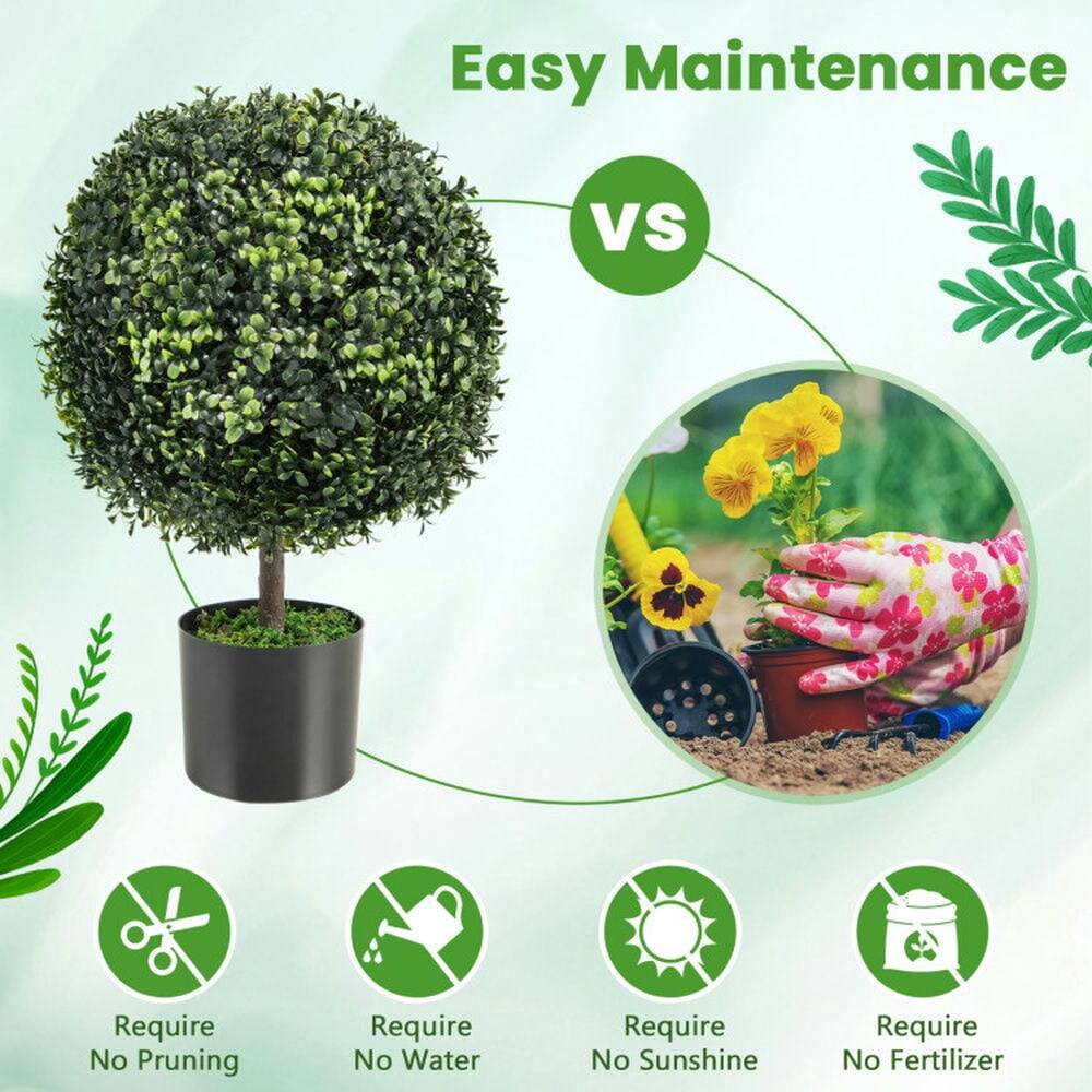Easy Maintenance  
VS  
Require No Pruning  
Require No Water  
Require No Sunshine  
Require No Fertilizer