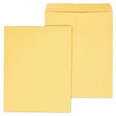 Front. Staples - Gummed Kraft Catalog Envelopes, 11.5" x 14.5", 100/Box - Brown.