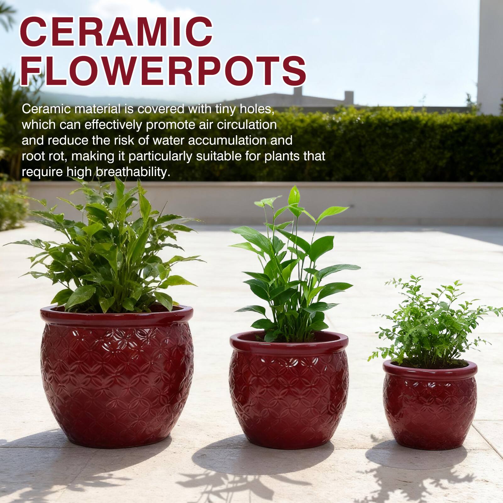 CERAMIC FLOWER POTS

Ceramic material is covered with tiny holes, which can effectively promote air circulation and reduce the risk of water accumulation and root rot, making it particularly suitable for plants that require high breathability.