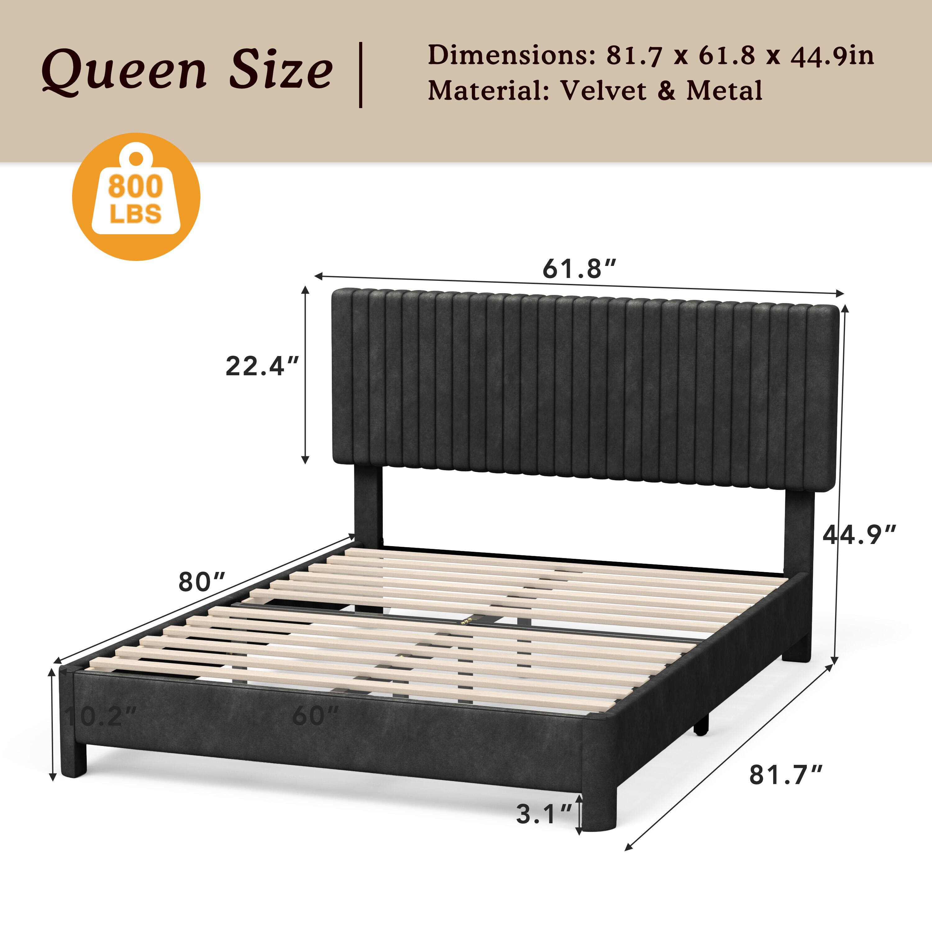 Queen Size | Dimensions: 81.7 x 61.8 x 44.9in  
Material: Velvet & Metal  
800 LBS  
61.8"  
22.4"  
44.9"  
80"  
0.2"  
60"  
3.1"  
81.7"