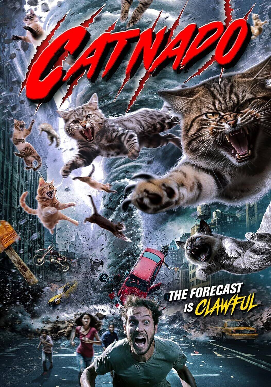 Front. Catnado   - DVD.