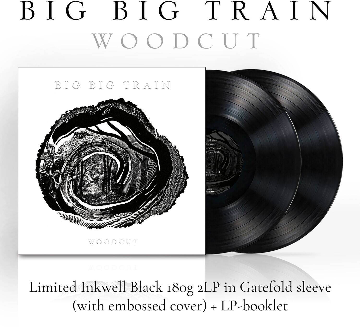 Big Big Train - Woodcut   - VINYL LP price history on PriceWatchPro