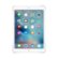 Front Zoom. Apple - Pre-Owned iPad Air (2nd  Generation) - 16GB - Gold.