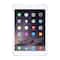 Apple - Pre-Owned iPad mini - Wi-Fi + Cellular - 16GB - (Verizon Wireless)-Front_Standard