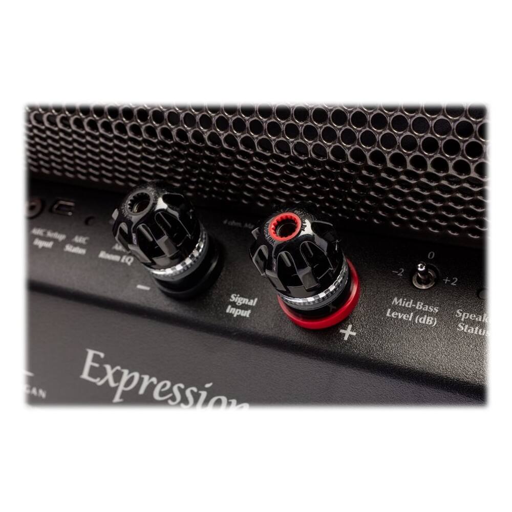 The text on the image reads: "Expression 0 -2 C +2 Level Mid-Bass (dB) Speaker Status."