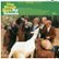 Front Standard. Pet Sounds [50th Anniversary Stereo Edition] [LP] - VINYL.
