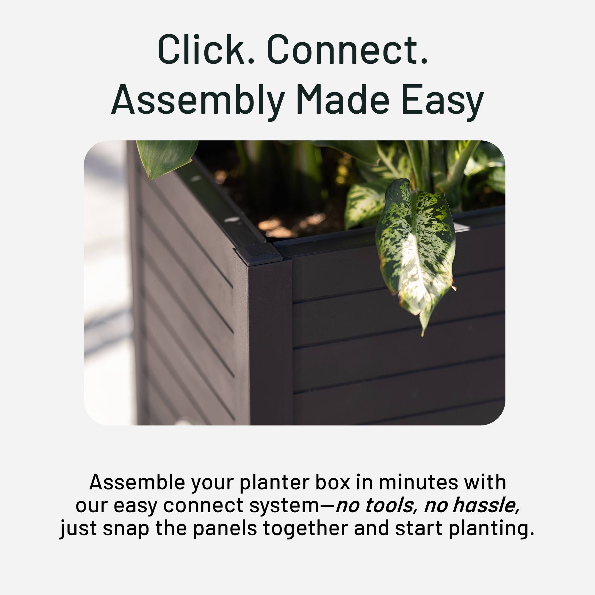 Click. Connect. Assembly Made Easy

Assemble your planter box in minutes with our easy connect system—no tools, no hassle, just snap the panels together and start planting.